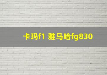 卡玛f1 雅马哈fg830